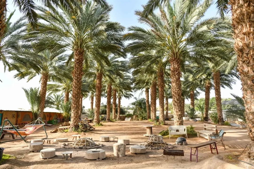 image_10087_7f5b682a23374aebad2e662d4fd10ce5