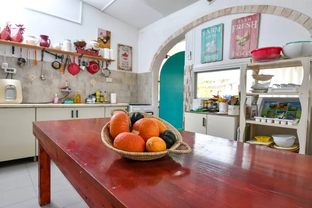 image_10087_8496252be352416e8c13dafd354e6518