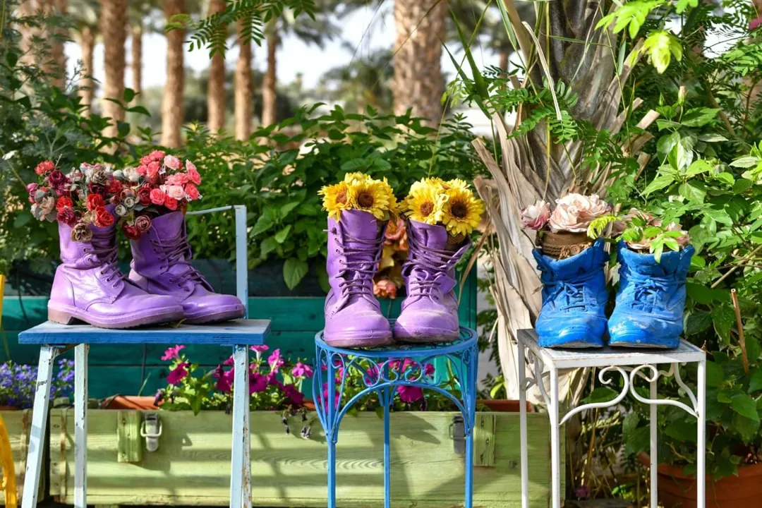 image_10087_a4e7e50f2b784c9599decbc6935f8113