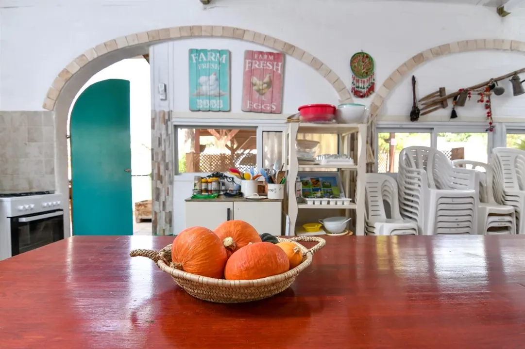 image_10087_f8d99cb8cd4141f3ad5ae78a70dcfa8f